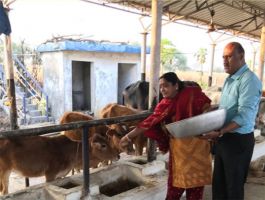 गौ सेवा