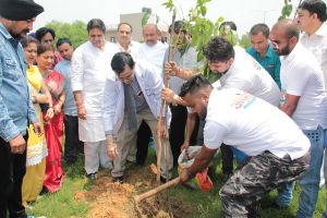 पर्यावरण जागरूकता शिविर